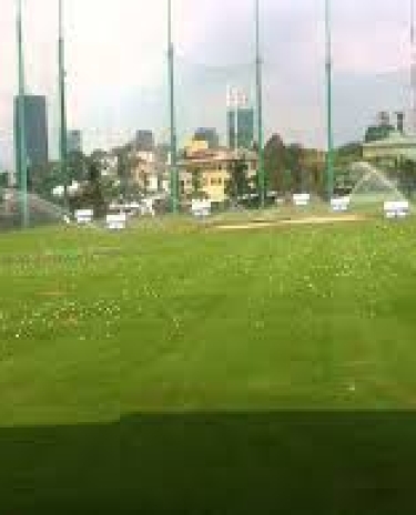 Thi công cỏ nhân tạo sân Golf quận 7 tp Hồ Chí Minh