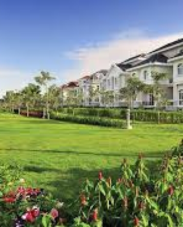 Làm Sân Gofl Chuyên Nghiệp Với Đội Ngũ Lâu Năm Kinh Nghiệm Quận 7