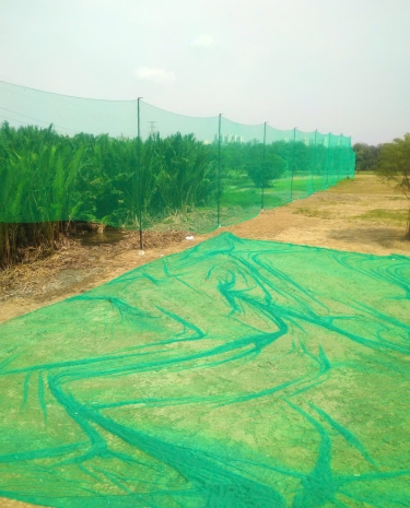sửa chữa sân golf tại quận 8 giá như thế nào 