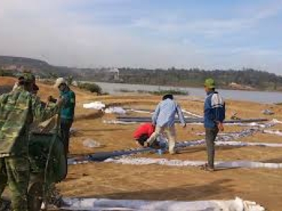 Thiết Kế Thi Công Sân Tập Golf - Hỗ Trợ Tư Vấn Thiết Kế Tận Nơi Quận 7