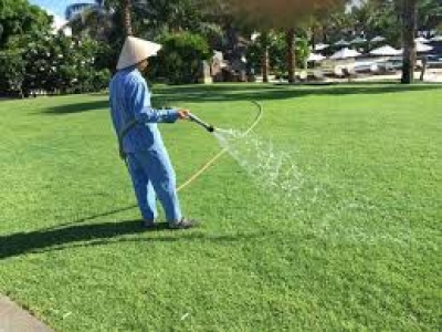 Chi phí xây dựng sân tập golf là bao nhiêu?
