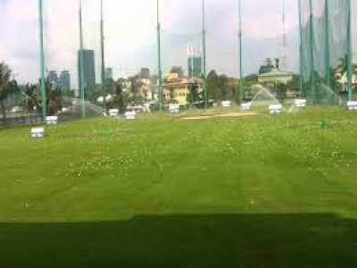 Thi công cỏ nhân tạo sân Golf quận 7 tp Hồ Chí Minh
