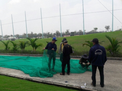 Thi công khung lưới tập golf