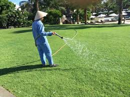 Lưới golf giá rẻ tại quận 12