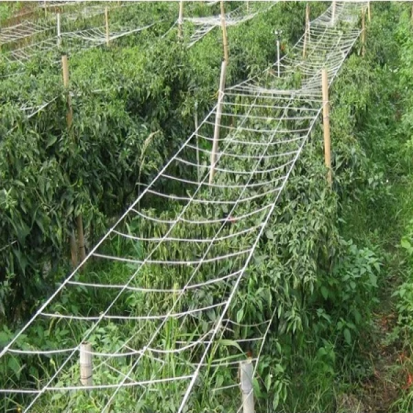 Lưới làm giàn dây cho cây leo