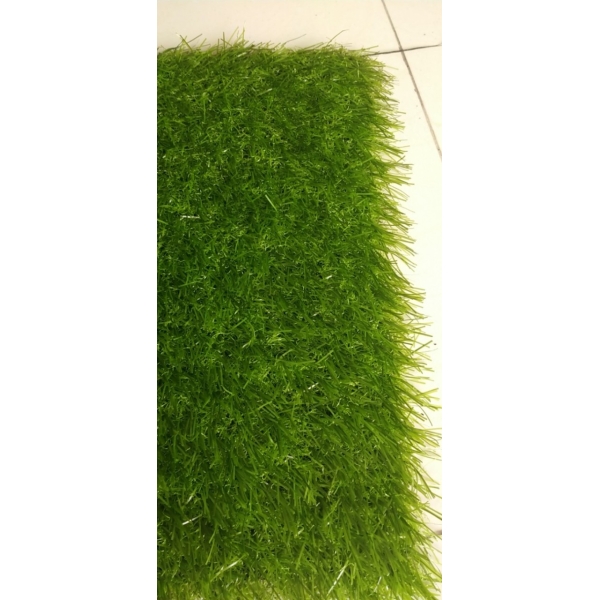 Cỏ sân vườn