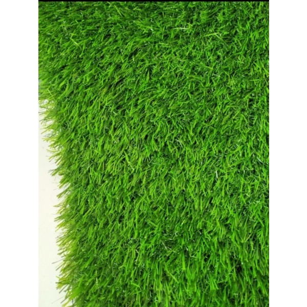 Cỏ sân vườn